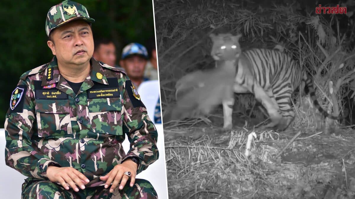 “รมว.สุชาติ” ให้กำลังใจทีมติดตามเสือทำร้าย จนท.ห้วยขาแข้ง กำชับระมัดระวังความปลอดภัยขั้นสูงสุด